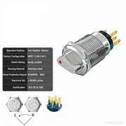 Red 2-Positions DPDT Momentary
