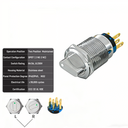 White 2-Positions DPDT Maintained
