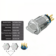 White 2-Positions DPDT Momentary