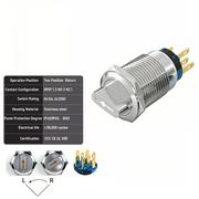 White 2-Positions DPDT Momentary