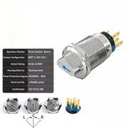 Blue 3-Positions DPDT Momentary