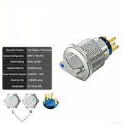 Blue 2-Positions SPDT Maintained