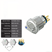 Blue 2-Positions DPDT Momentary