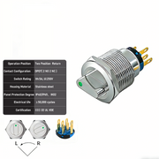 Green 2-Positions DPDT Momentary