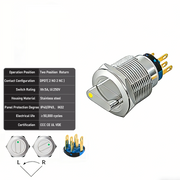 Yellow 2-Positions DPDT Momentary