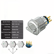 White 3-Positions DPDT Maintained