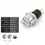 Blue 2-Positions DPDT Momentary