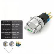 Green 2-Positions DPDT Maintained