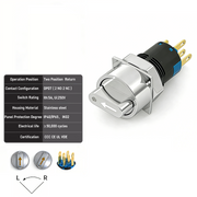 White 2-Positions DPDT Momentary