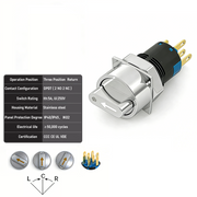 White 3-Positions DPDT Momentary