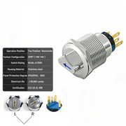 Blue 2-Positions SPDT Maintained