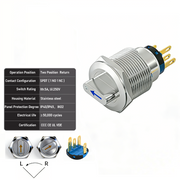 Blue 2-Positions DPDT Momentary