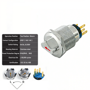 Red 2-Positions DPDT Momentary