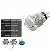 White 2-Positions DPDT Maintained
