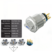 Blue 3-Positions DPDT Momentary