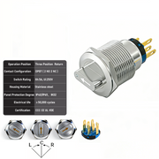 White 3-Positions DPDT Momentary