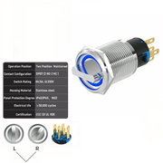 Blue 2-Positions DPDT Maintained