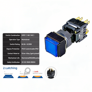 Blue Maintained SPDT