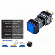Blue Momentary DPDT