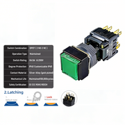 Green Maintained DPDT