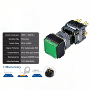 Green Momentary DPDT