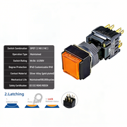 Orange Maintained DPDT