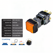 Orange Maintained TPDT