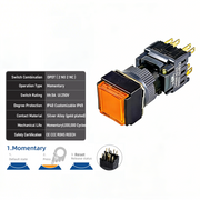Orange Momentary DPDT