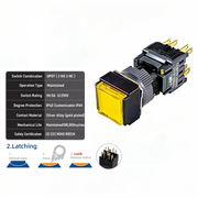 Yellow Maintained DPDT