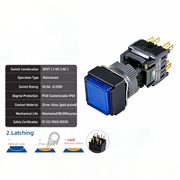 Blue Maintained DPDT