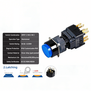 Blue Maintained DPDT