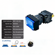 Blue Maintained DPDT