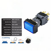 Blue Maintained DPDT