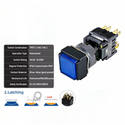 Blue Maintained TPDT