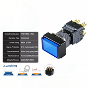 Blue Maintained TPDT