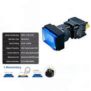 Blue Momentary DPDT