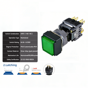 Green Maintained SPDT