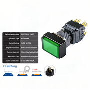 Green Maintained DPDT