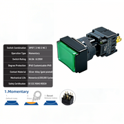Green Momentary DPDT