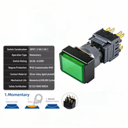 Green Momentary DPDT