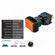 Orange Maintained DPDT