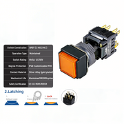 Orange Maintained DPDT