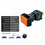 Orange Momentary DPDT