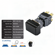 Black Maintained DPDT