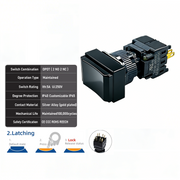 Black Maintained DPDT