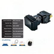 Black Maintained TPDT