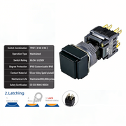 Black Maintained TPDT