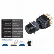 Black Momentary DPDT