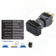 Black Momentary DPDT