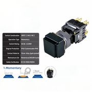 Black Momentary DPDT